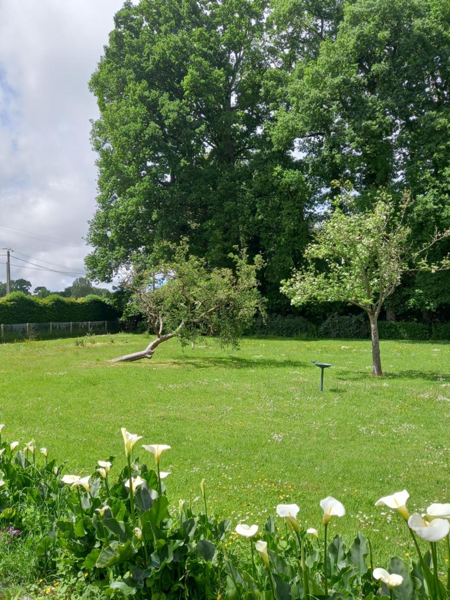 Les Sentiers Normands Villa Daubeuf-Serville Buitenkant foto